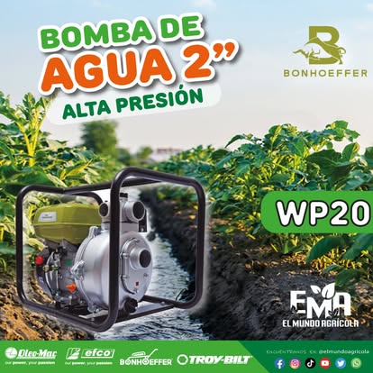 Bomba de agua Bonhoeffer WP 20